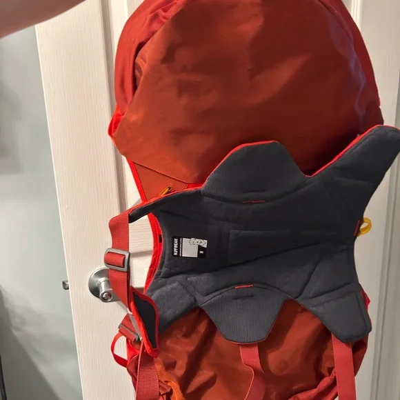 Dog Backpack - Red - Picture 4 of 7